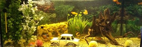 IMG_20171218_084120778