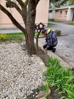 Naša záhrada