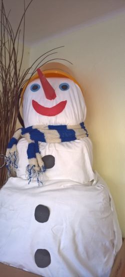 WP_20161122_14_21_21_Pro