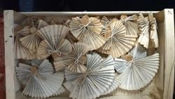 IMG_20171113_074633172
