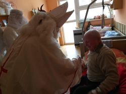 IMG_20181206_111036866