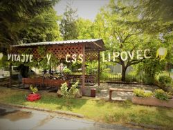 Športový deň s priateľmi v CSS - LIPOVEC