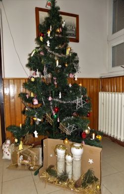 DSCN0899