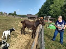 IMG_20180828_101312270_HDR